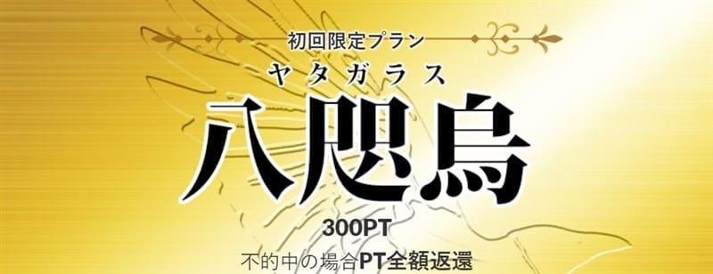 皇艇の八咫烏