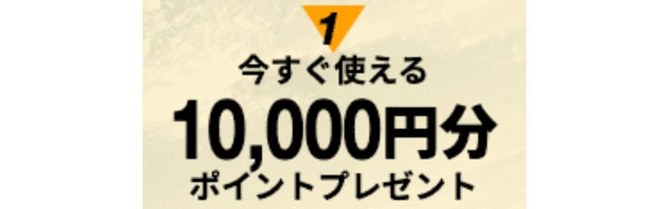 契約前提のポイントキャンペーン