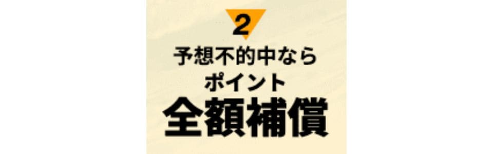 返還がポイントのみ