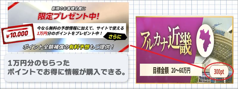 競艇アルカナ 登録得点 使い方