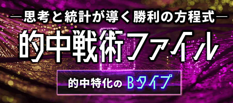 的中戦術ﾌｧｲﾙ【的中特化のBタイプ】